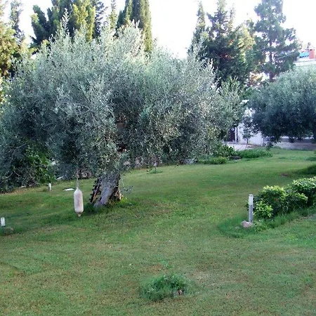 Bentu Estu